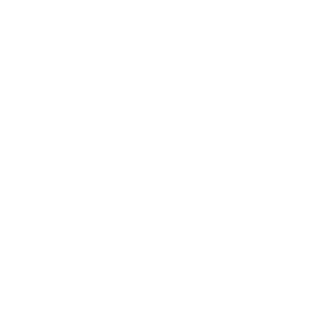 Logo Younes Lahrihi